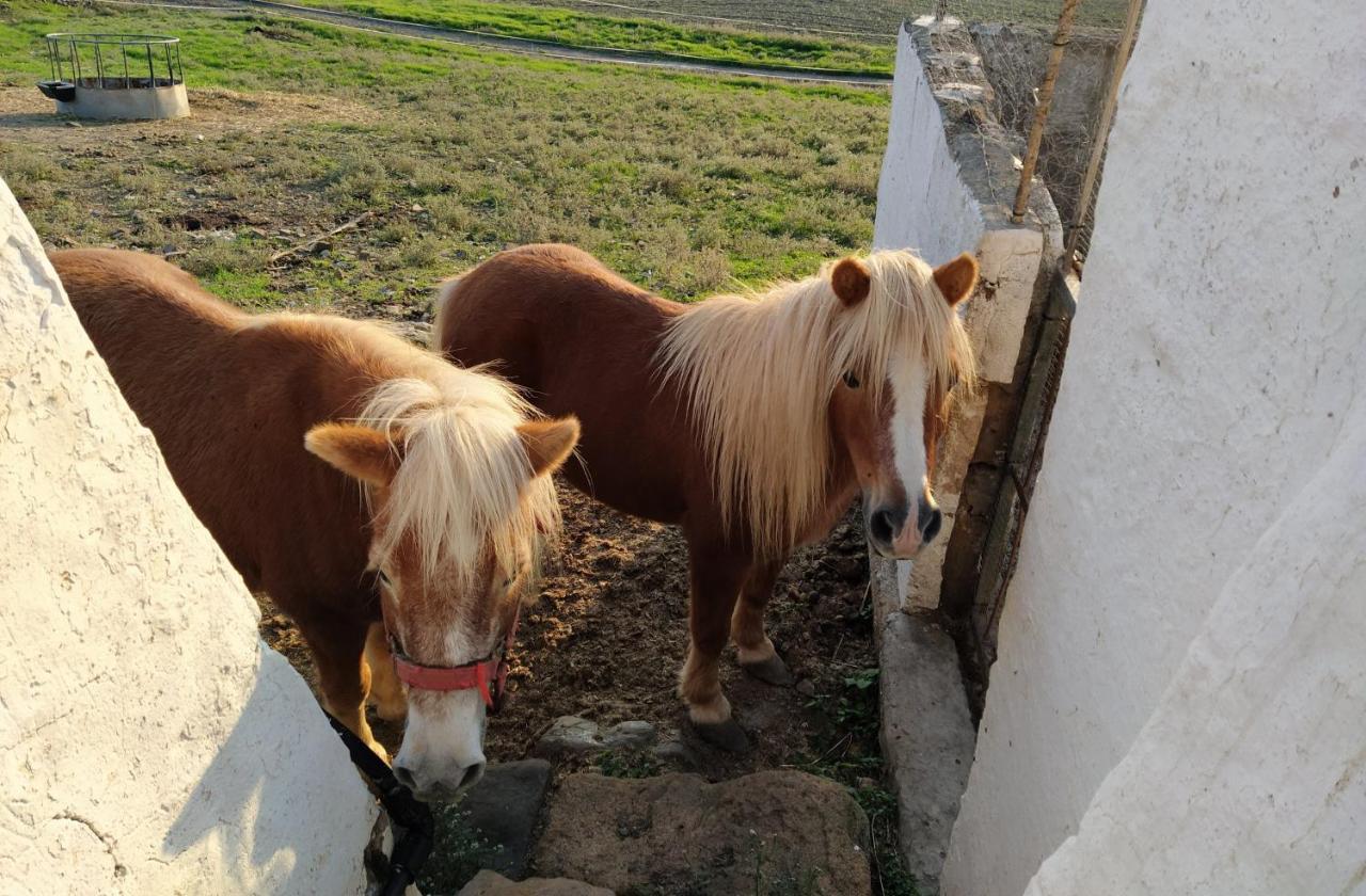 Casa rural reformada Bini Aumaia Es Mercadal Luaran gambar