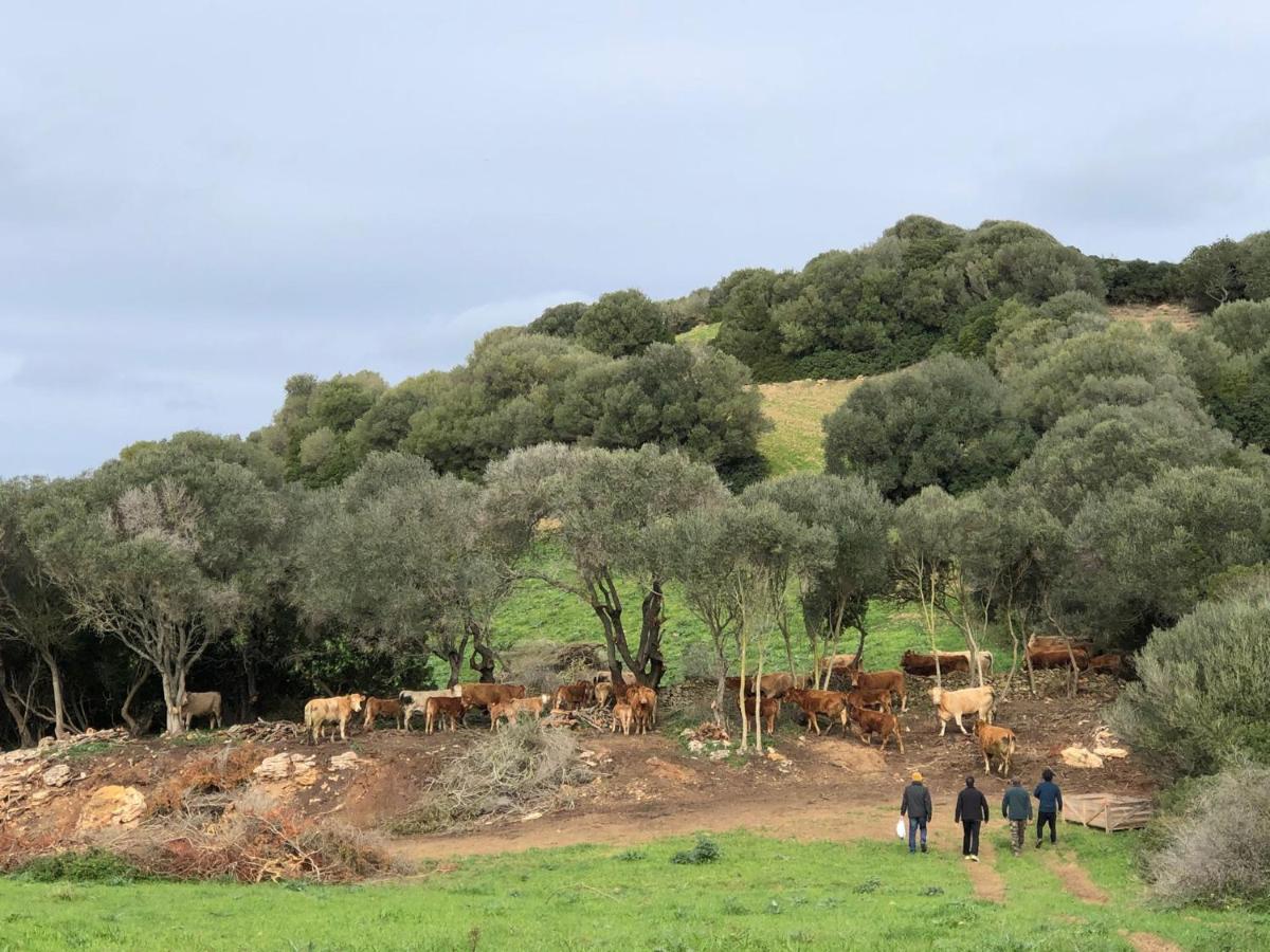 Casa rural reformada Bini Aumaia Es Mercadal Luaran gambar