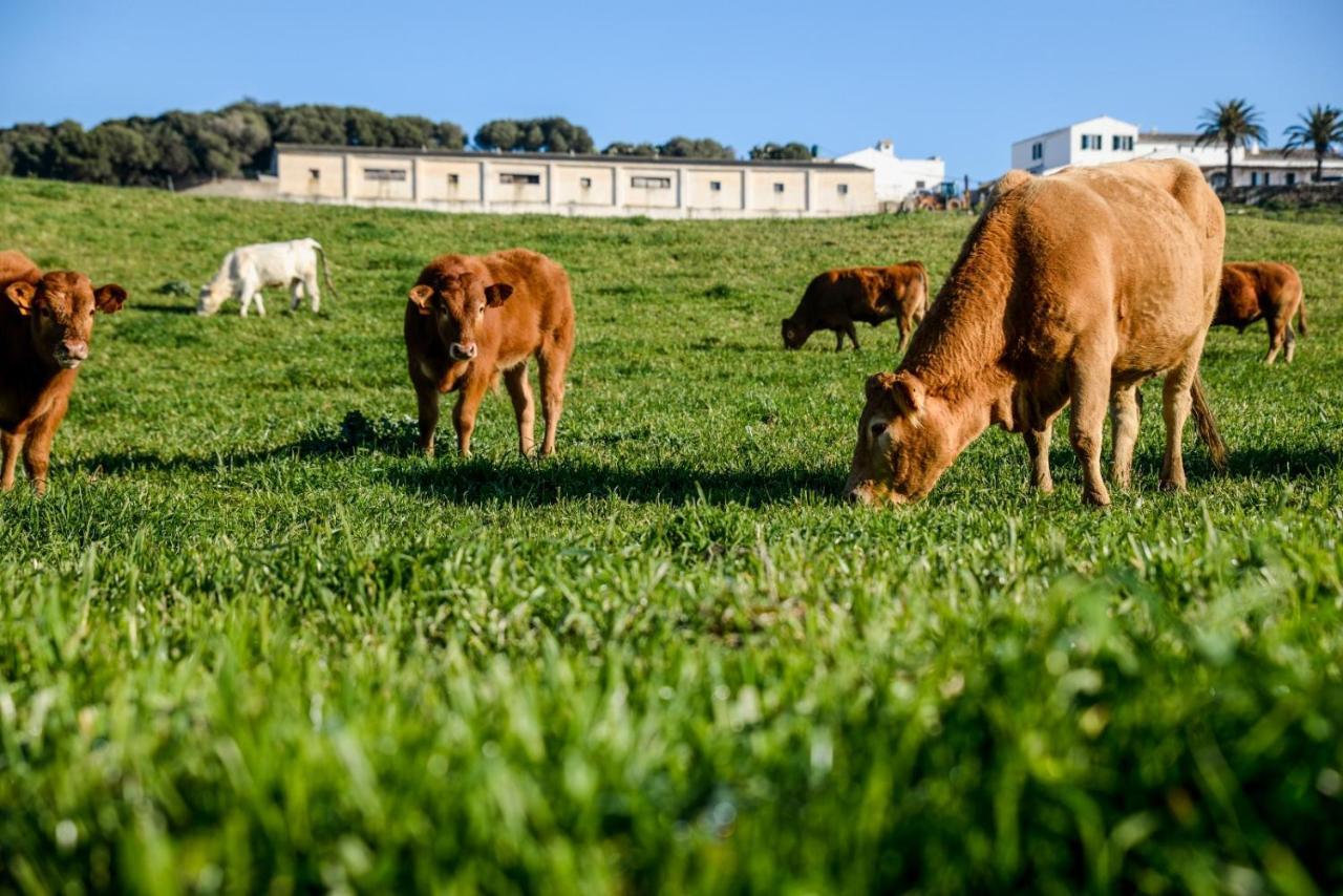 Casa rural reformada Bini Aumaia Es Mercadal Luaran gambar