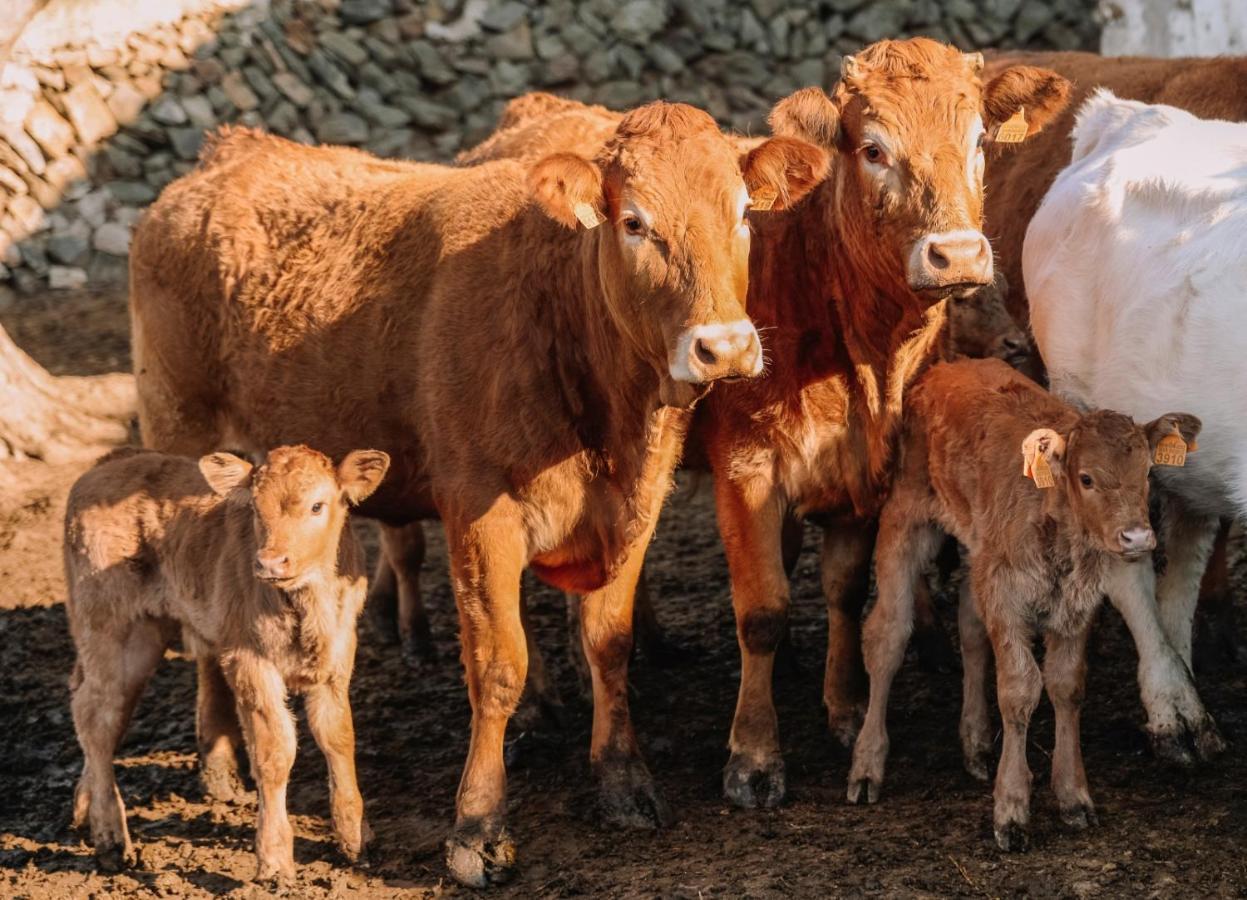 Casa rural reformada Bini Aumaia Es Mercadal Luaran gambar