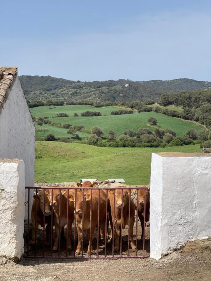 Casa rural reformada Bini Aumaia Es Mercadal Luaran gambar